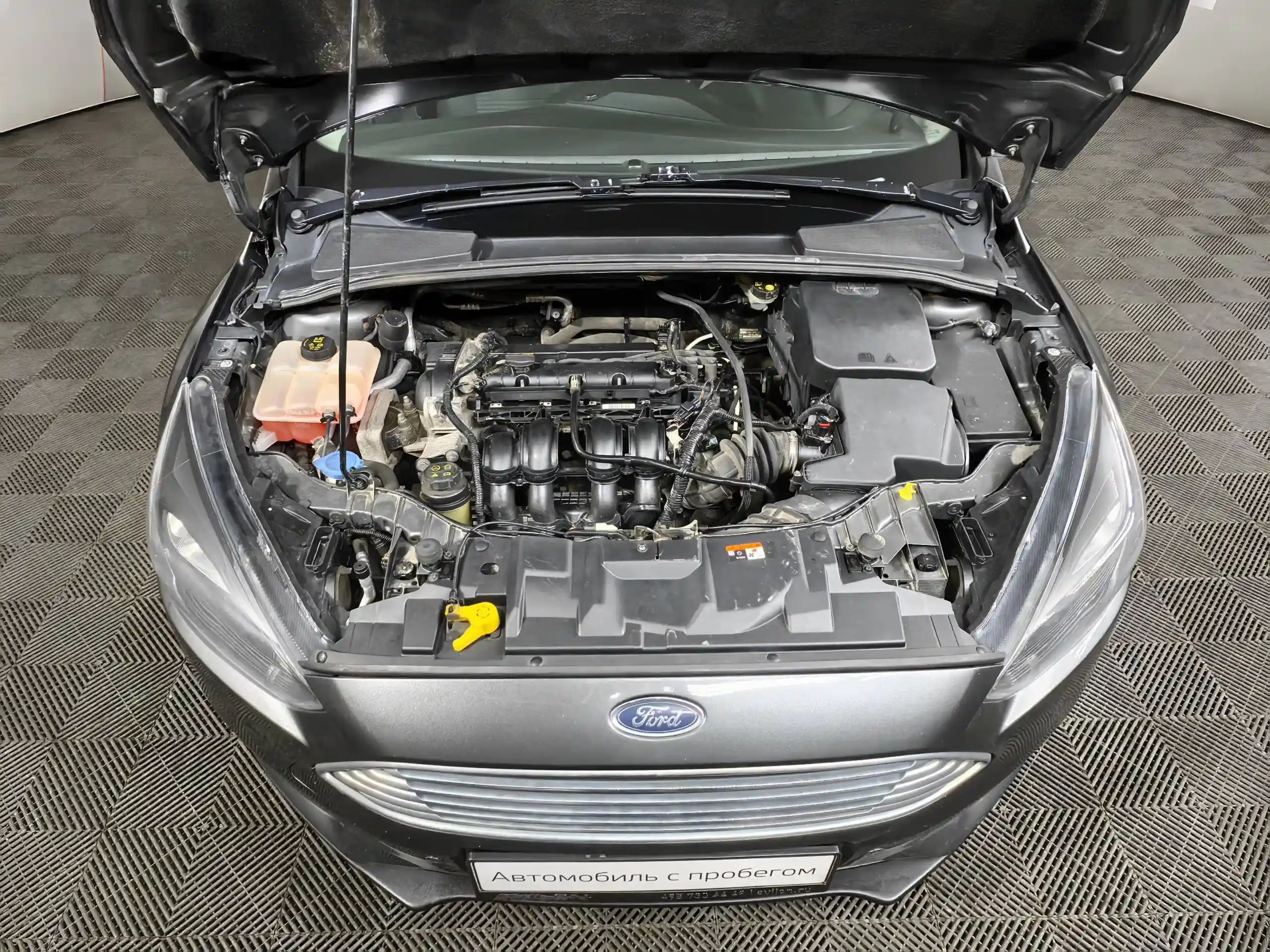 Ford Focus 2019