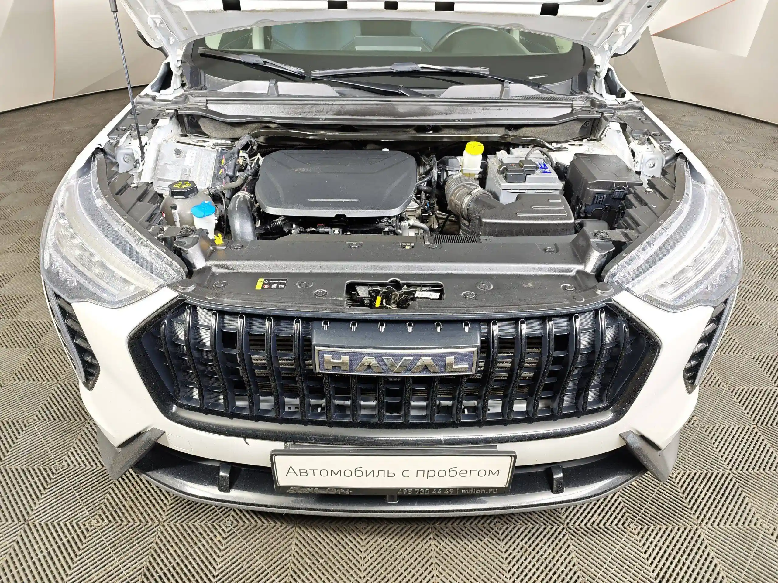 Haval Jolion 2024
