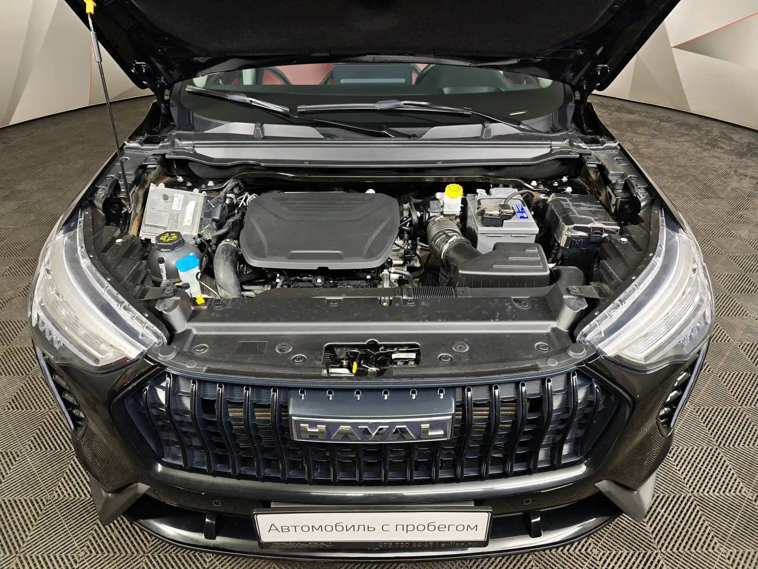 Haval Jolion 2024